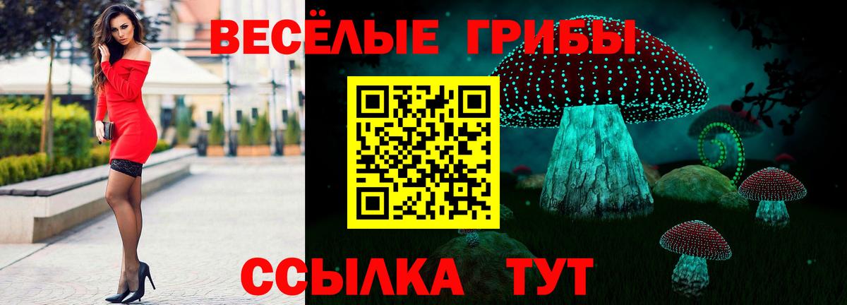Псилоцибиновые грибы Psilocybe  Вход с VPN  Ногинск 